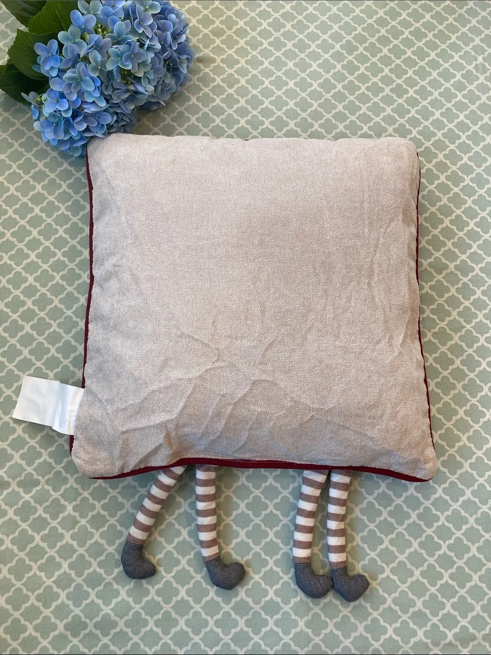 Hello Fall Raccoon Dangle Leg Square Appliquéd Pillow